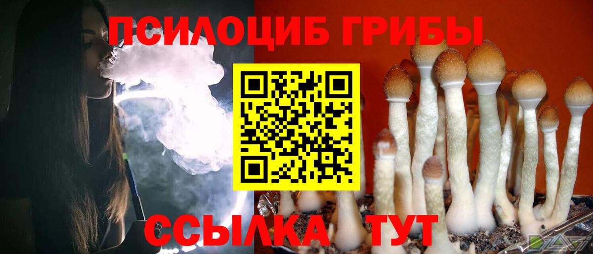 Подольск  Галлюциногенные грибы Psilocybe  Вход с VPN  Псилоцибиновые грибы Cubensis 
